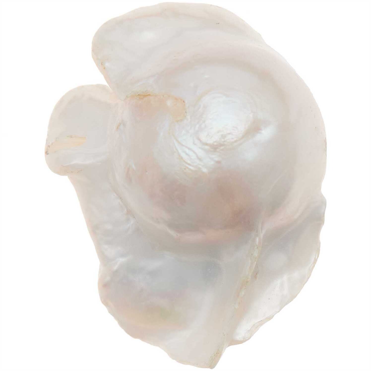 itoshii Süßwasserperle natur barock 28x16x12mm 1 Stück itoshii Süßwasserperle natur barock 28x16x12mm 1 Stück