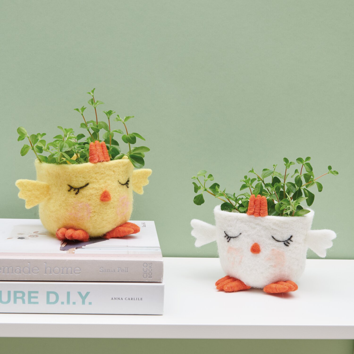 Filzschale Küken 11,5x9cm mit Pflanzen, gelb und weiß, auf Büchern vor grünem Hintergrund.