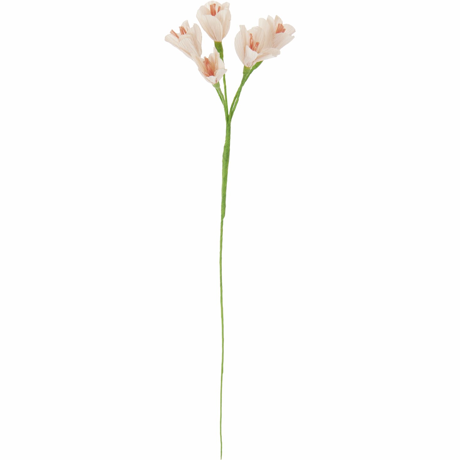 Papierblume Freesie Powder Papierblume Freesie Powder