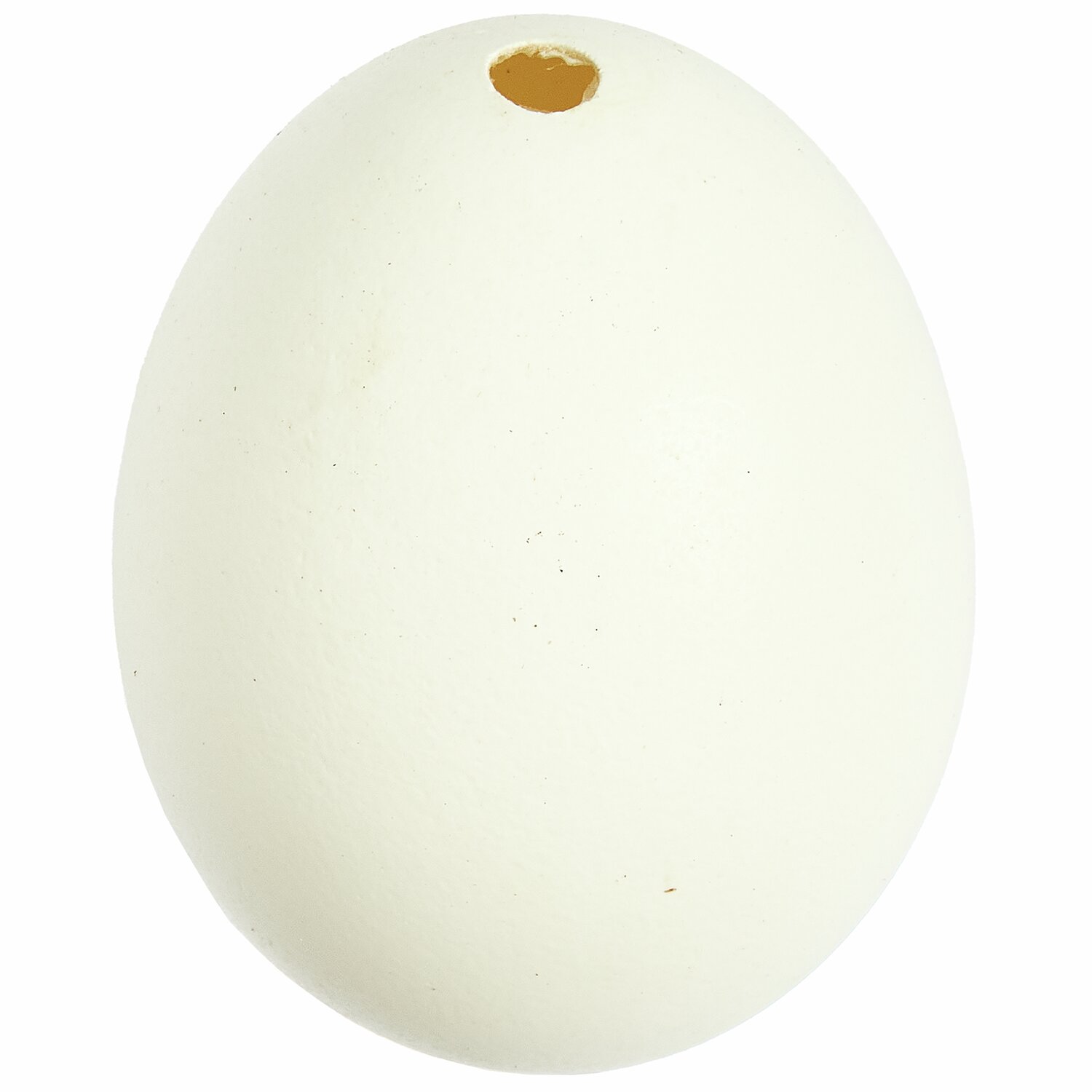 Gänseei Weiß ausgeblasen, 8cm. Ein weißes, ausgeblasenes Gänseei von Rico Design, ideal für Dekorationen.