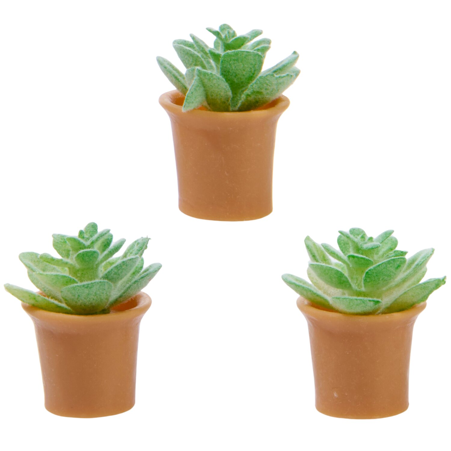 Miniatur Pflanzen Set 3 Stück von Rico Design