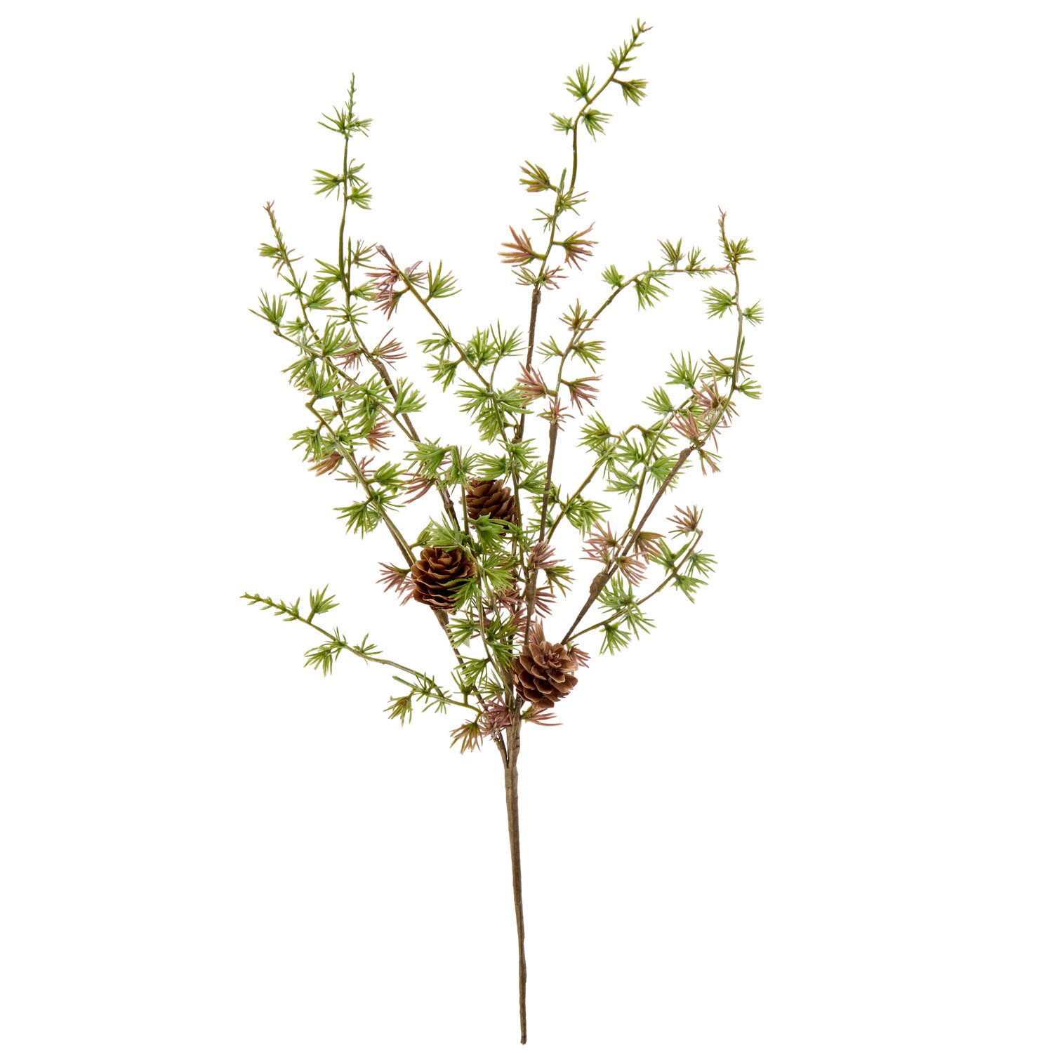 Lärchenzweig mit Zapfen 44cm von Rico Design