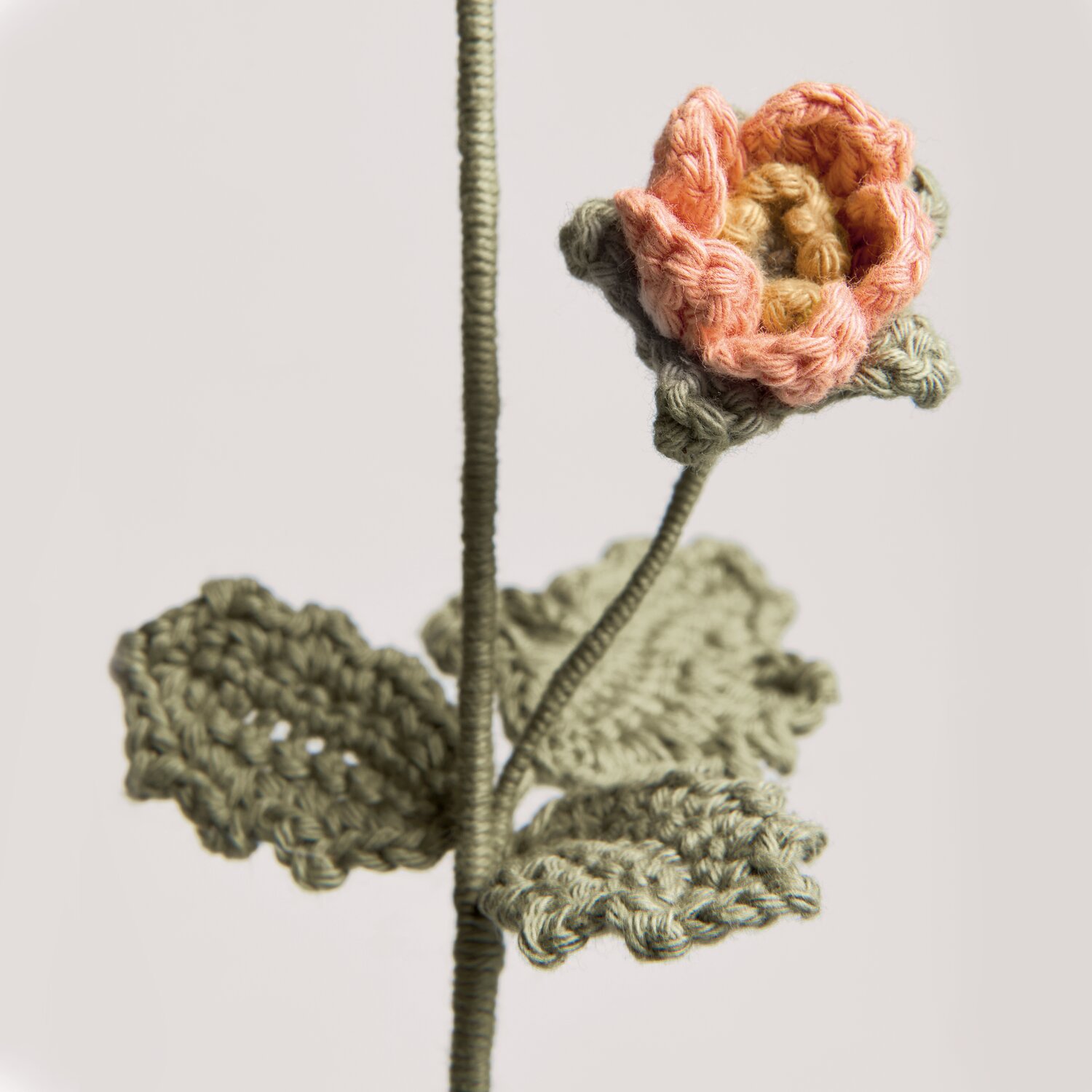 Ricorumi In the Meadow gehäkelte Blume mit papayafarbenen Blütenblättern und khakifarbenem Stiel, dekoriert mit Creative Ricorumi dk Garn von Rico Design
