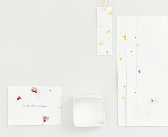 Baumwollpapier mit Blüten und Samen