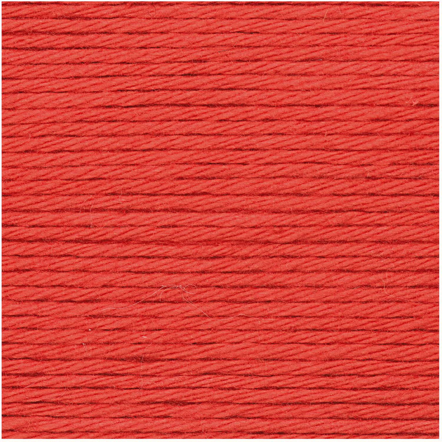 Rot