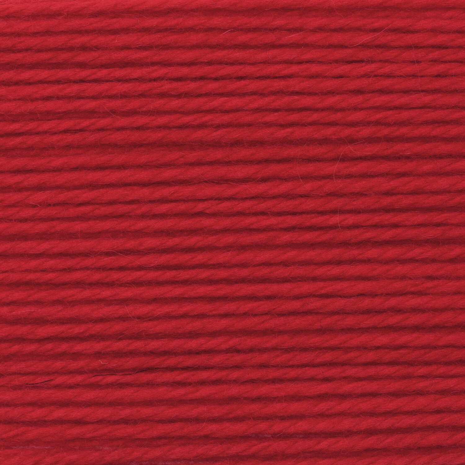 Rot