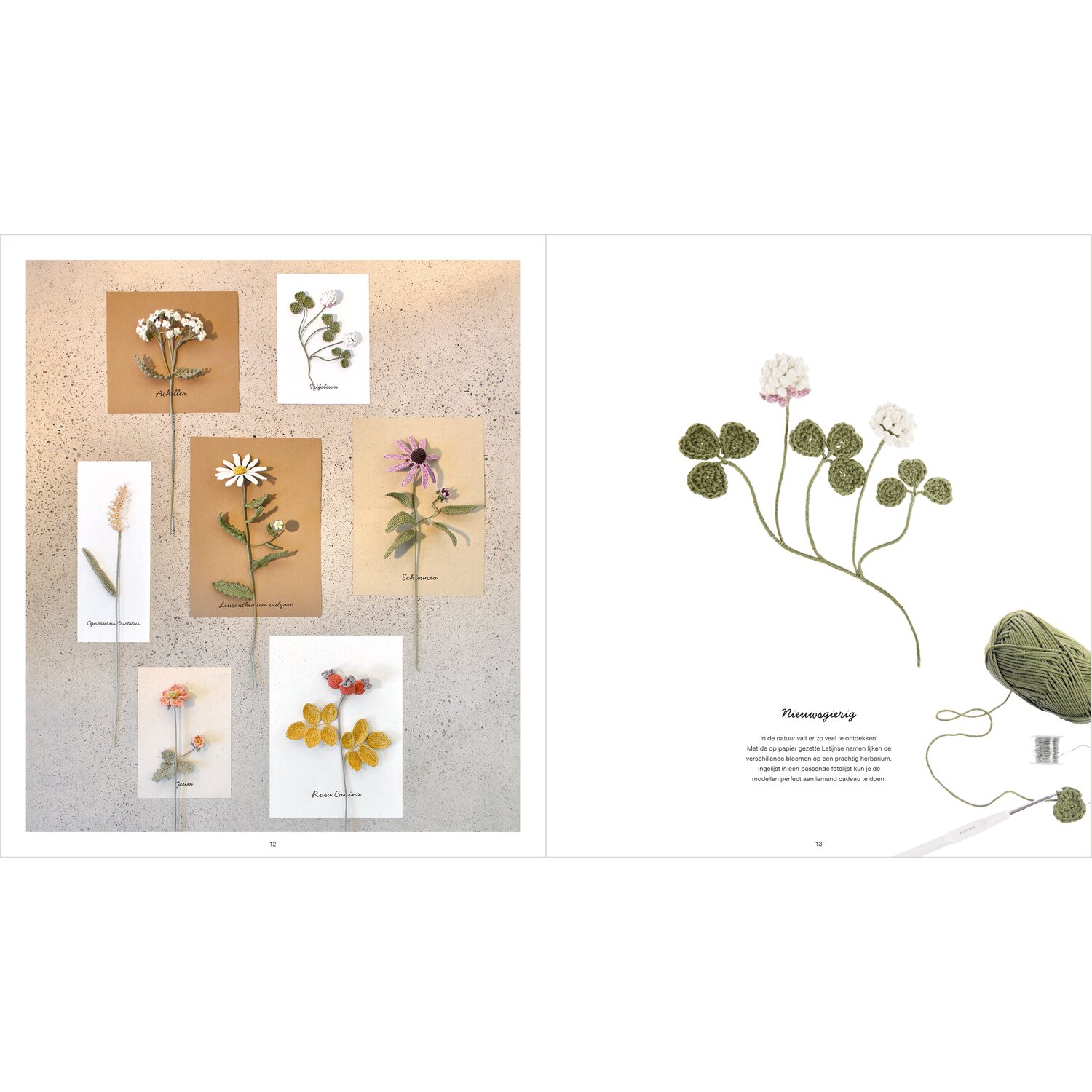 Ricorumi In the Meadow Sprachauswahl niederländisch von Rico Design