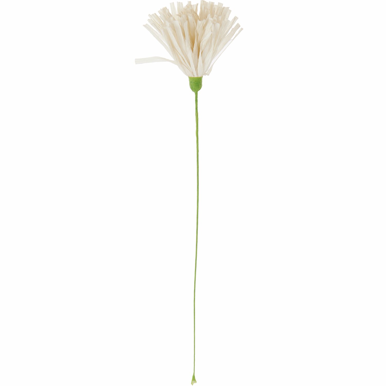 Papierblume Chrysamtheme Creme Papierblume Chrysamtheme Creme
