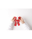 Stickpackung Schleife Nikolaus
