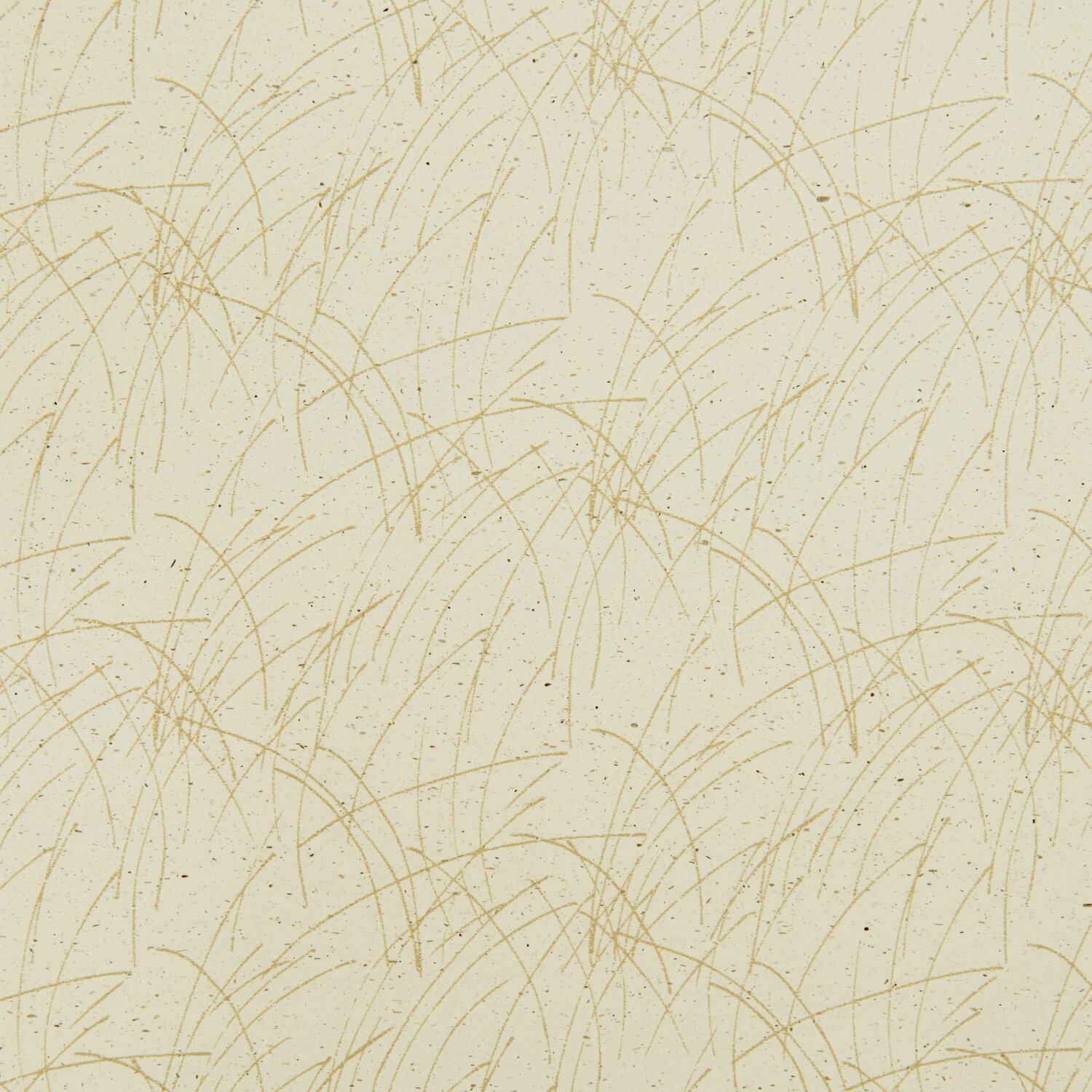 Paper Poetry Geschenkpapier Gräser Grau 0,7x2m von Rico Design