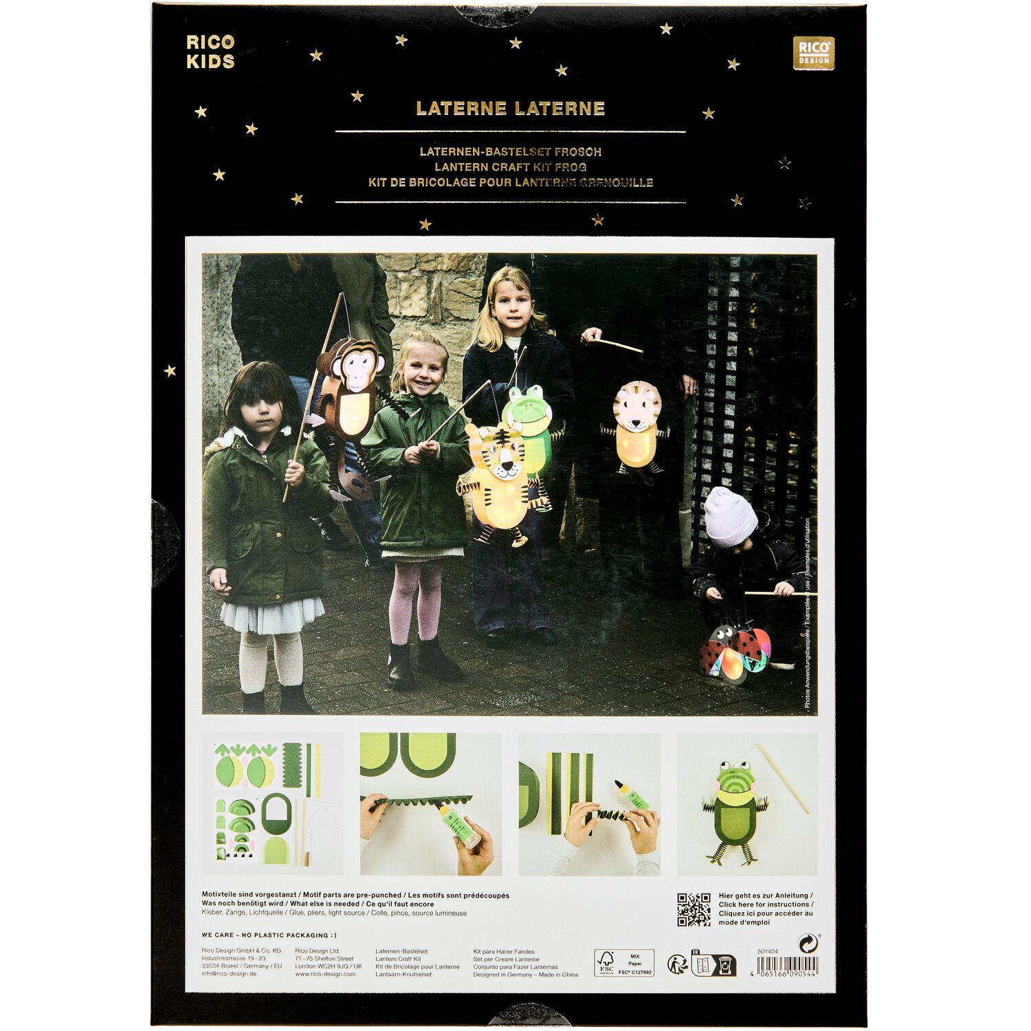 Bastelset Frosch-Laterne von Rico Design