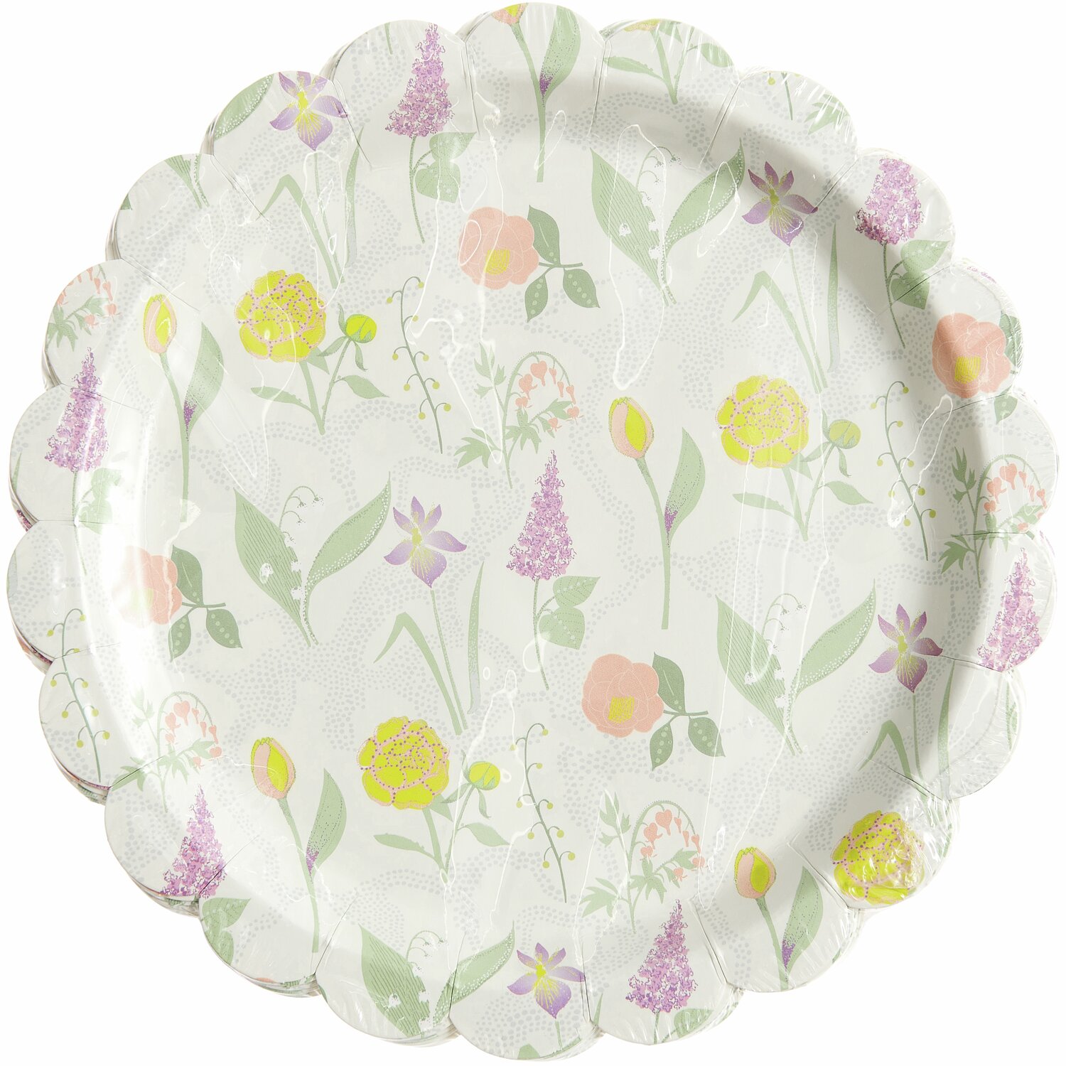 Pappteller Blumenwiese 8 Stück Ø23cm von Rico Design