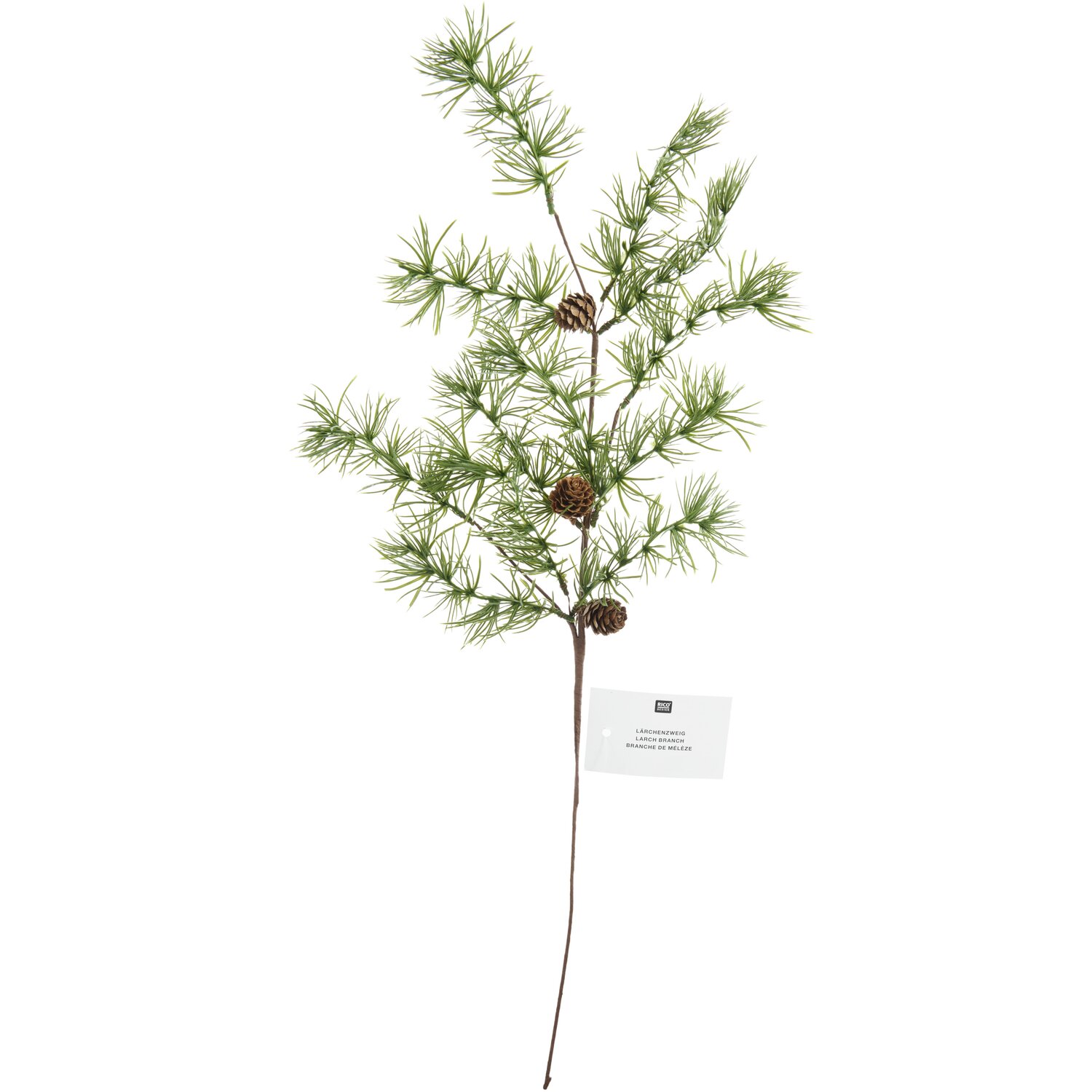 Lärchenzweig mit Zapfen 68cm von Rico Design