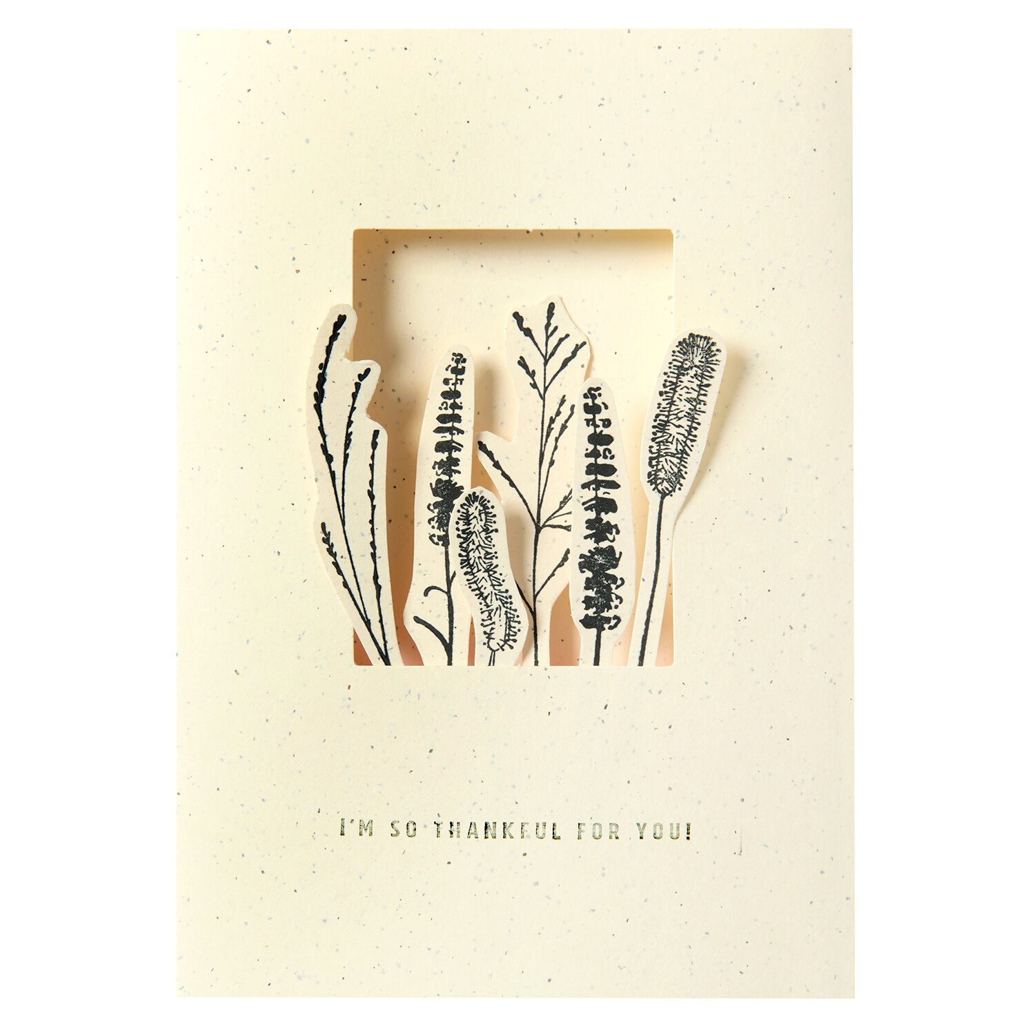 Bastelanleitung In the Meadow Passepartout-Karte mit ausgeschnittenem Fenster und filigranen Wiesenpflanzen, darunter dezenter Schriftzug „I’m so thankful for you“