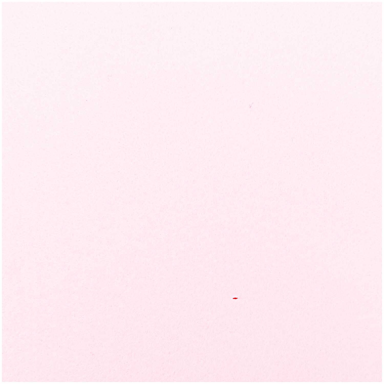 Filz-Platte 20x30cm 1mm