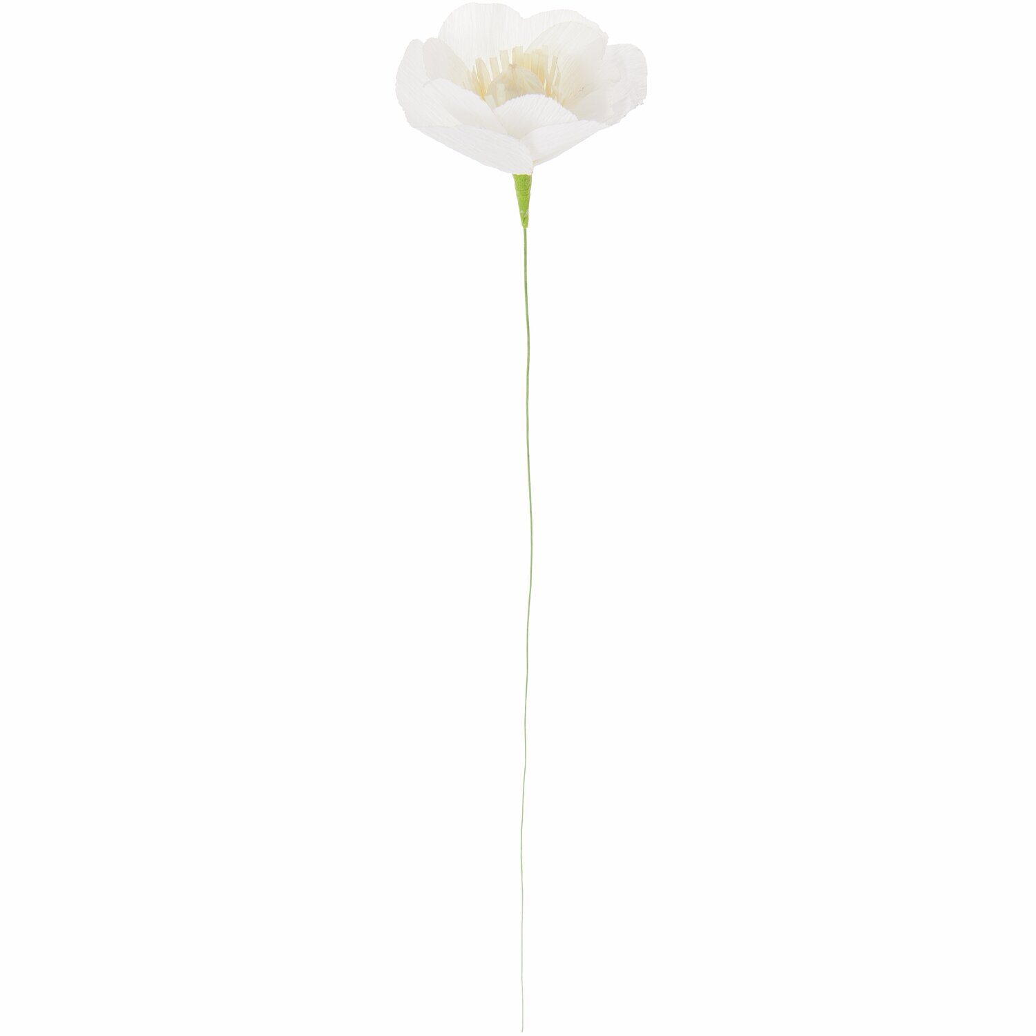Papierblume Windröschen Hartweiß Papierblume Windröschen Hartweiß