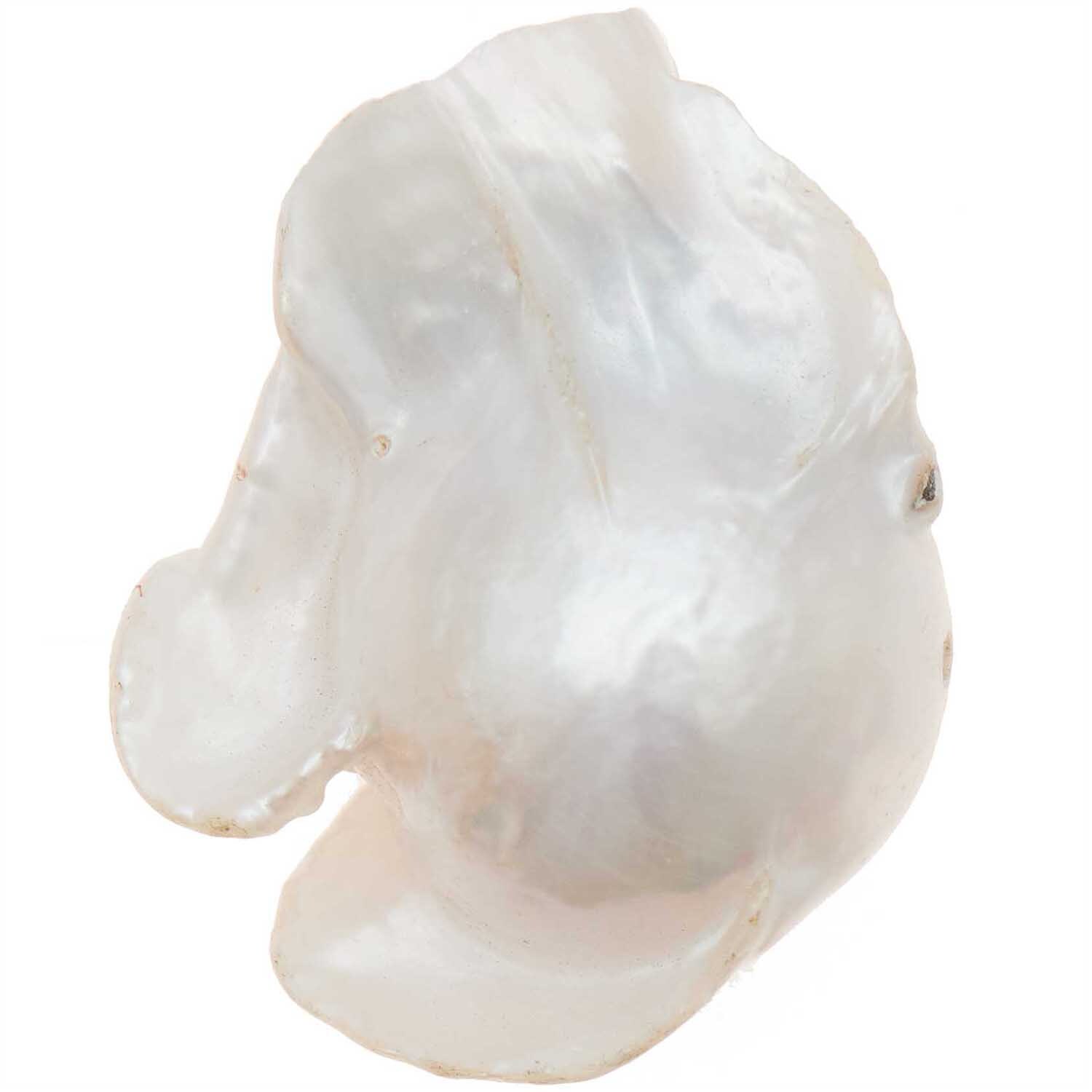 itoshii Süßwasserperle natur barock 28x16x12mm 1 Stück itoshii Süßwasserperle natur barock 28x16x12mm 1 Stück