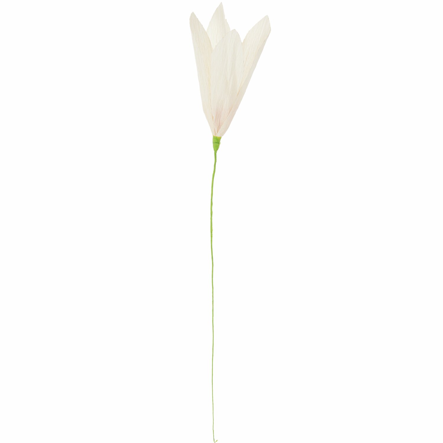 Papierblume Krokus Creme Papierblume Krokus Creme