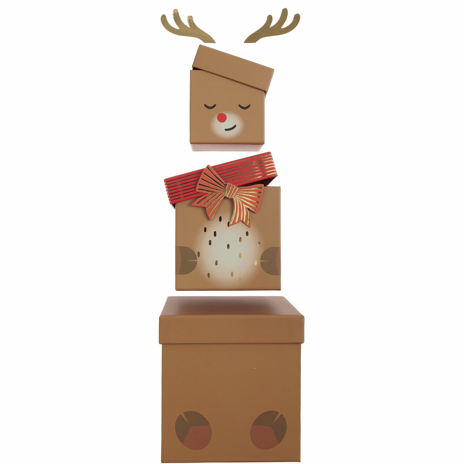 Geschenkboxen-Set Rentier 5-teilig von Rico Design