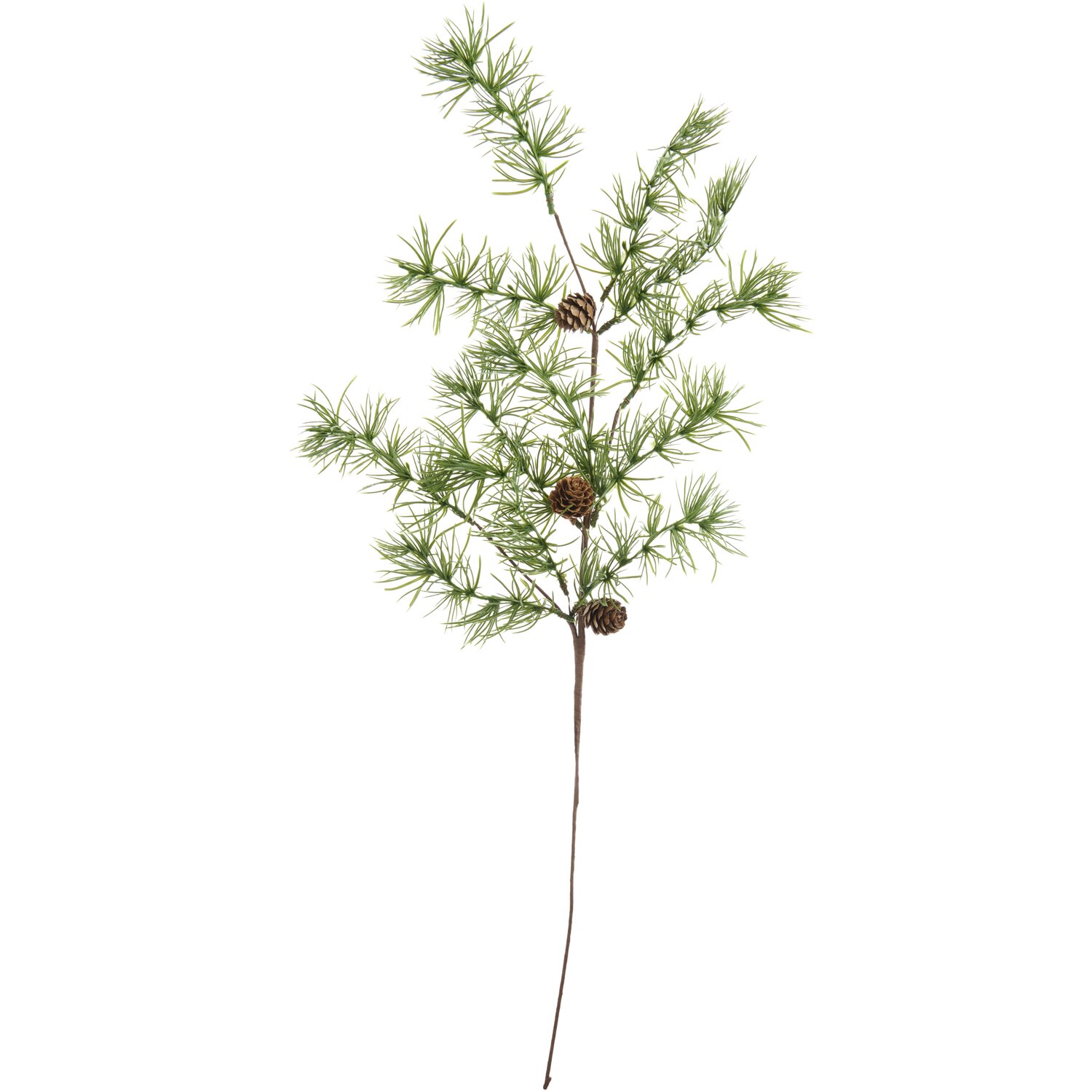Lärchenzweig mit Zapfen 68cm von Rico Design