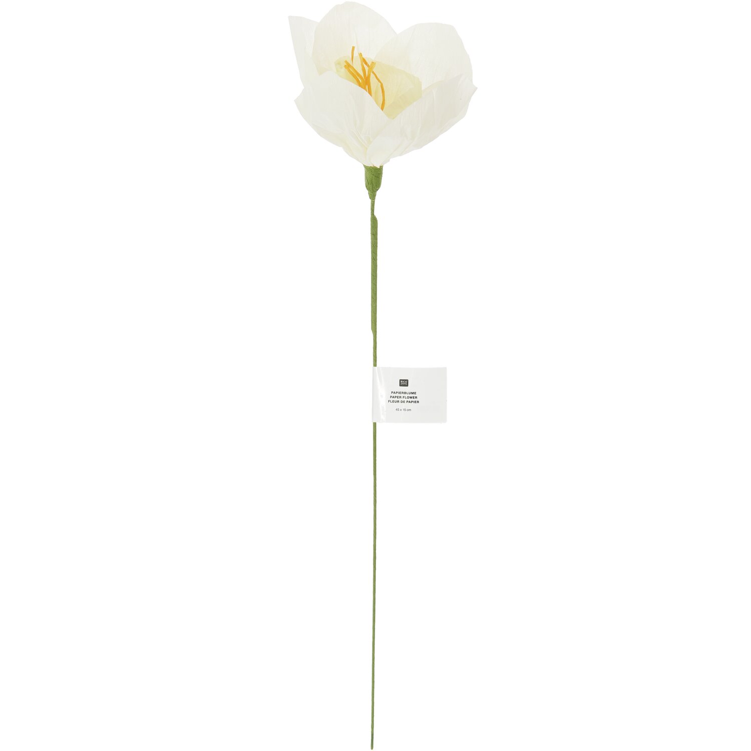 Papierblume Narzisse Papierblume Narzisse