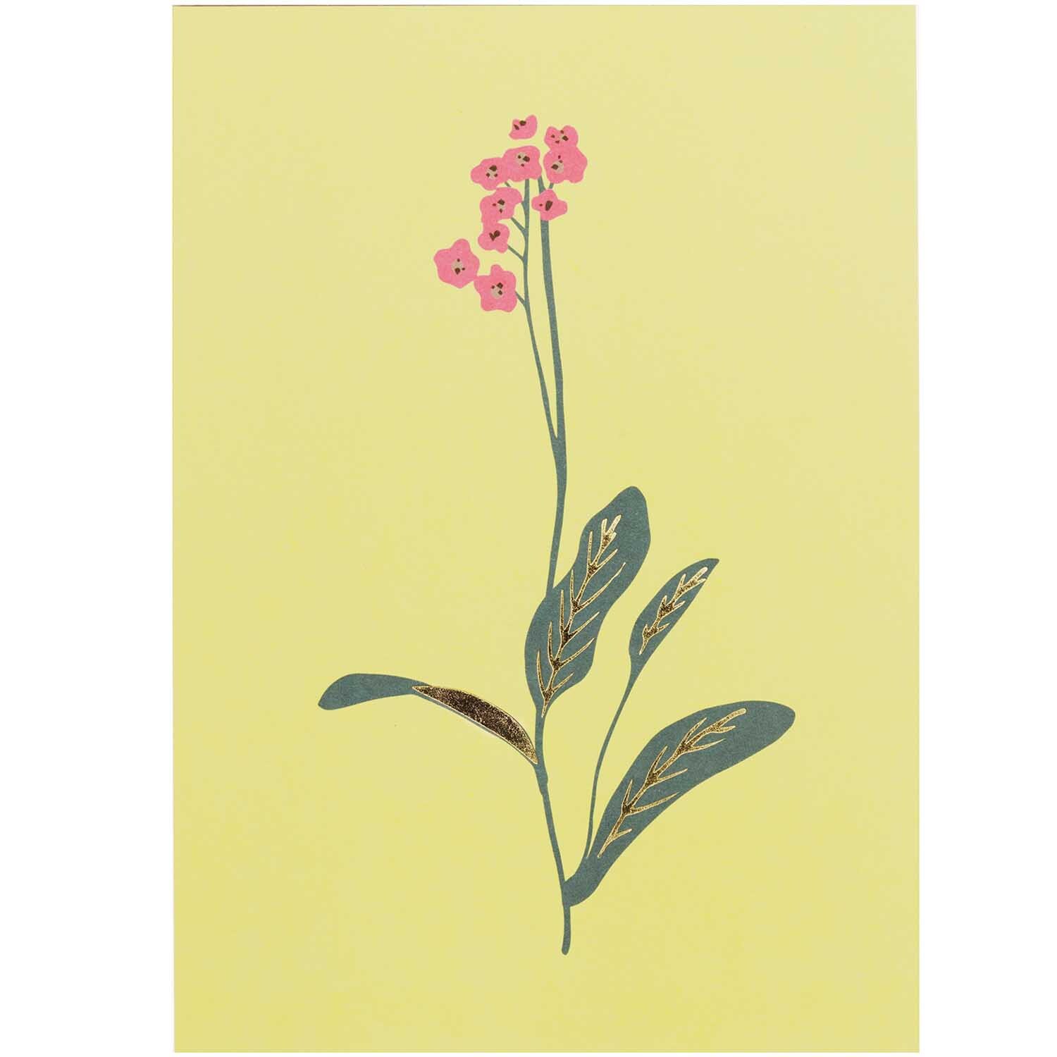 Paper Poetry Postkartenblock Blumen 15 Stück Paper Poetry Postkartenblock Blumen 15 Stück