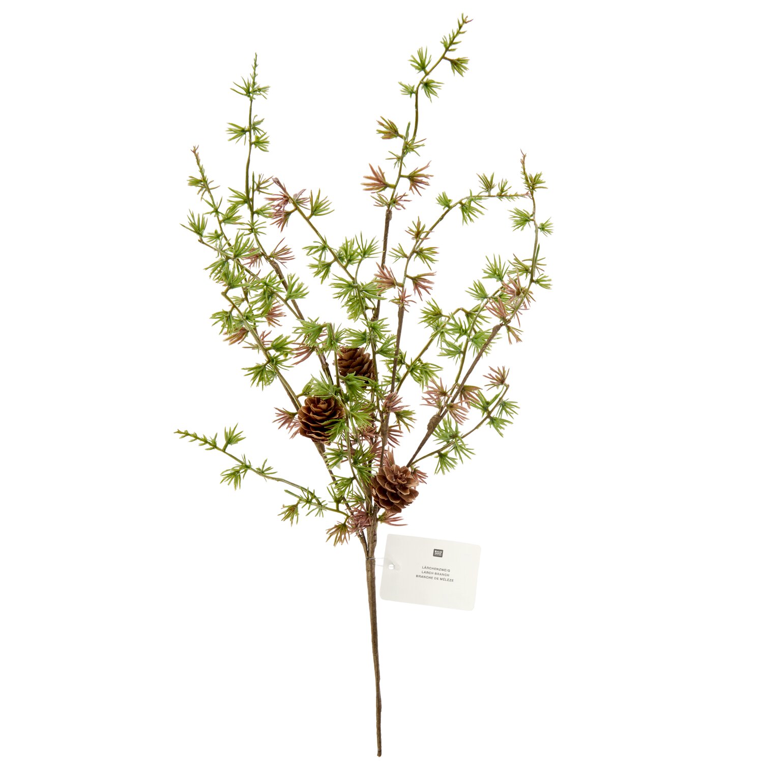 Lärchenzweig mit Zapfen 44cm von Rico Design