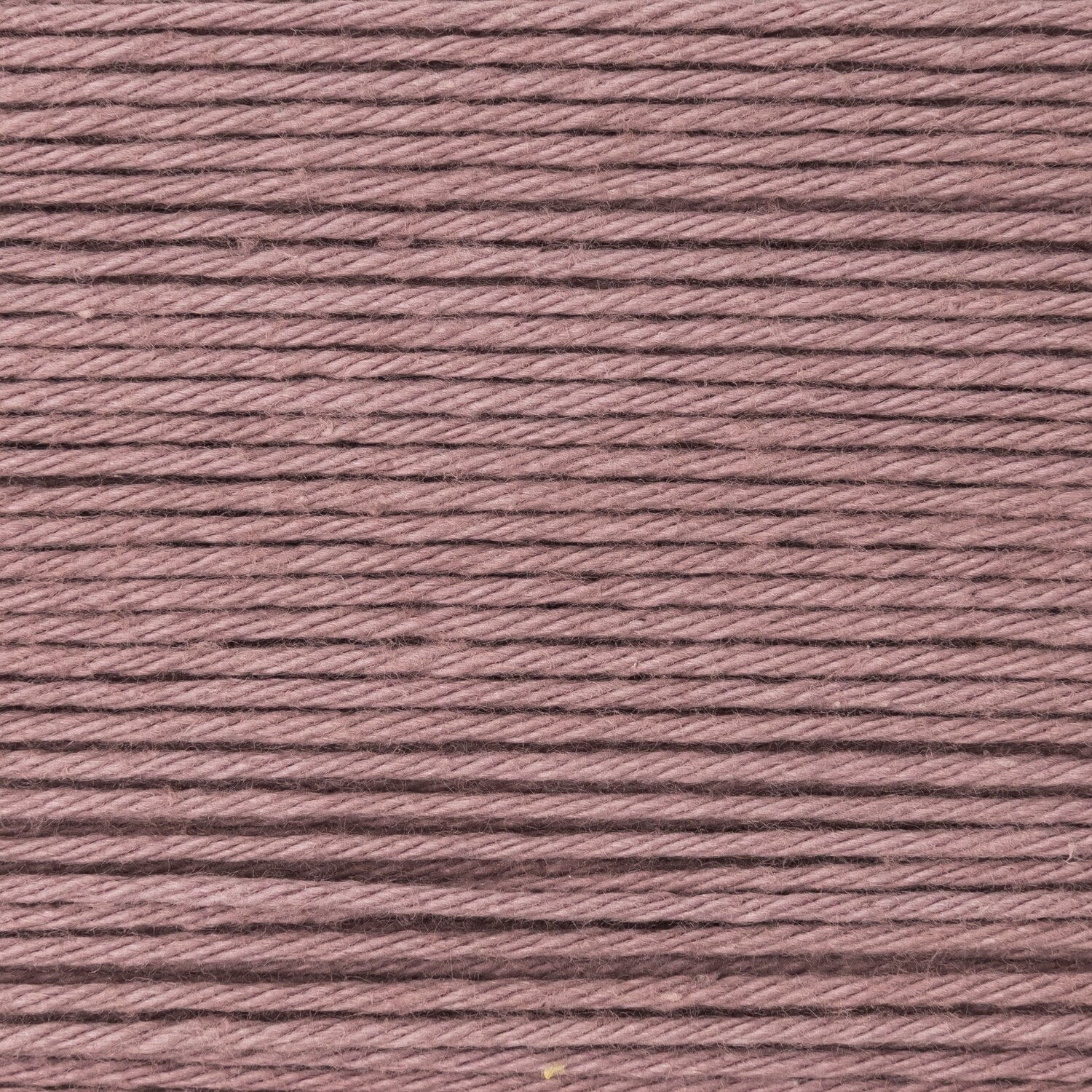 Lavendel