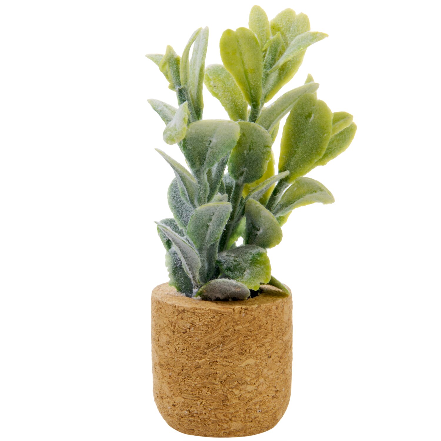 Miniatur Pflanze Farn von Rico Design